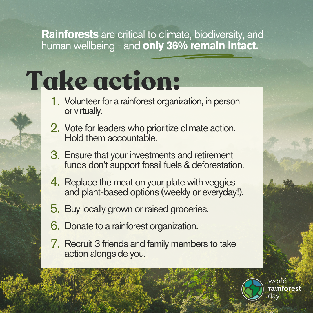 Take Action today for our rainforests!