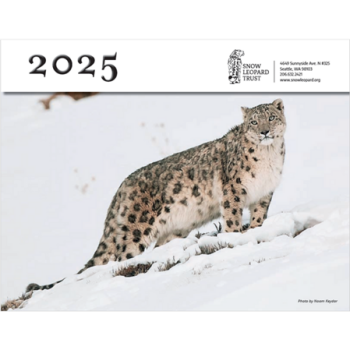 Treat yourself to a calendar from the Snow Leopard Trust for 2025