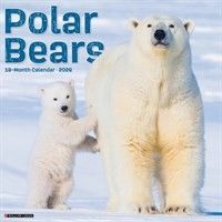 How about giving a polar bear lover a Polar Bears Calendar 2026?