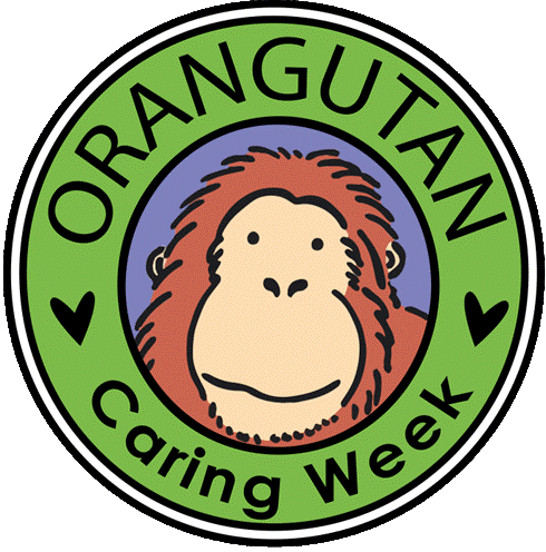 It's' Orangutan Caring Week 2025