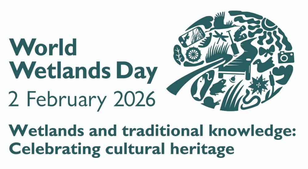 Find out about World Wetlands Day and how you can help
