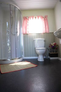 electric shower and flushing toilet