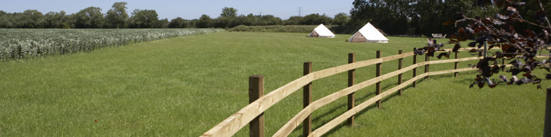 tents in field