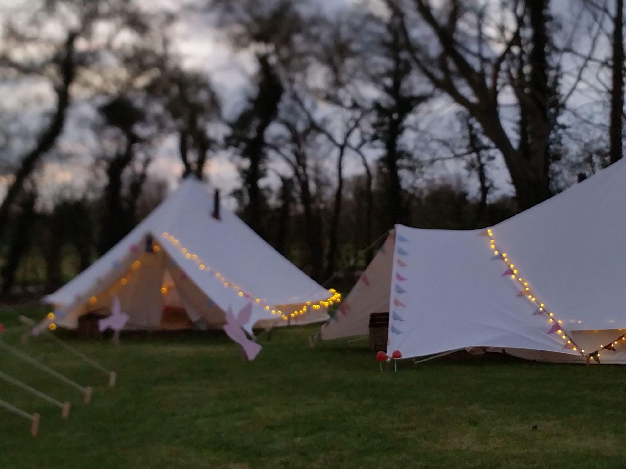 Bell tents with fairy lights