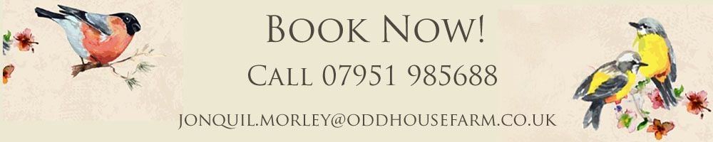 Contact us at Oddhouse Farm Glamping