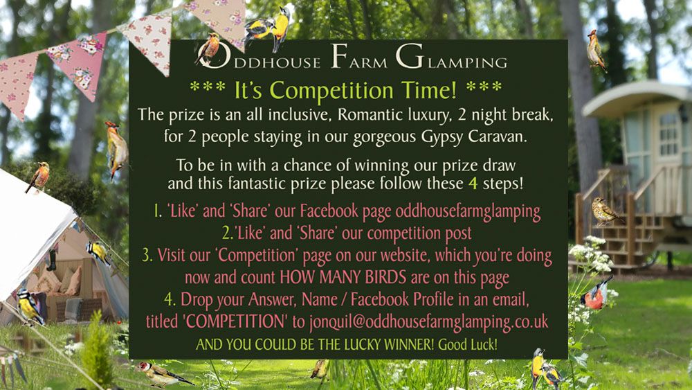 Oddhouse Farm Glamping Gypsy Caravan Competition