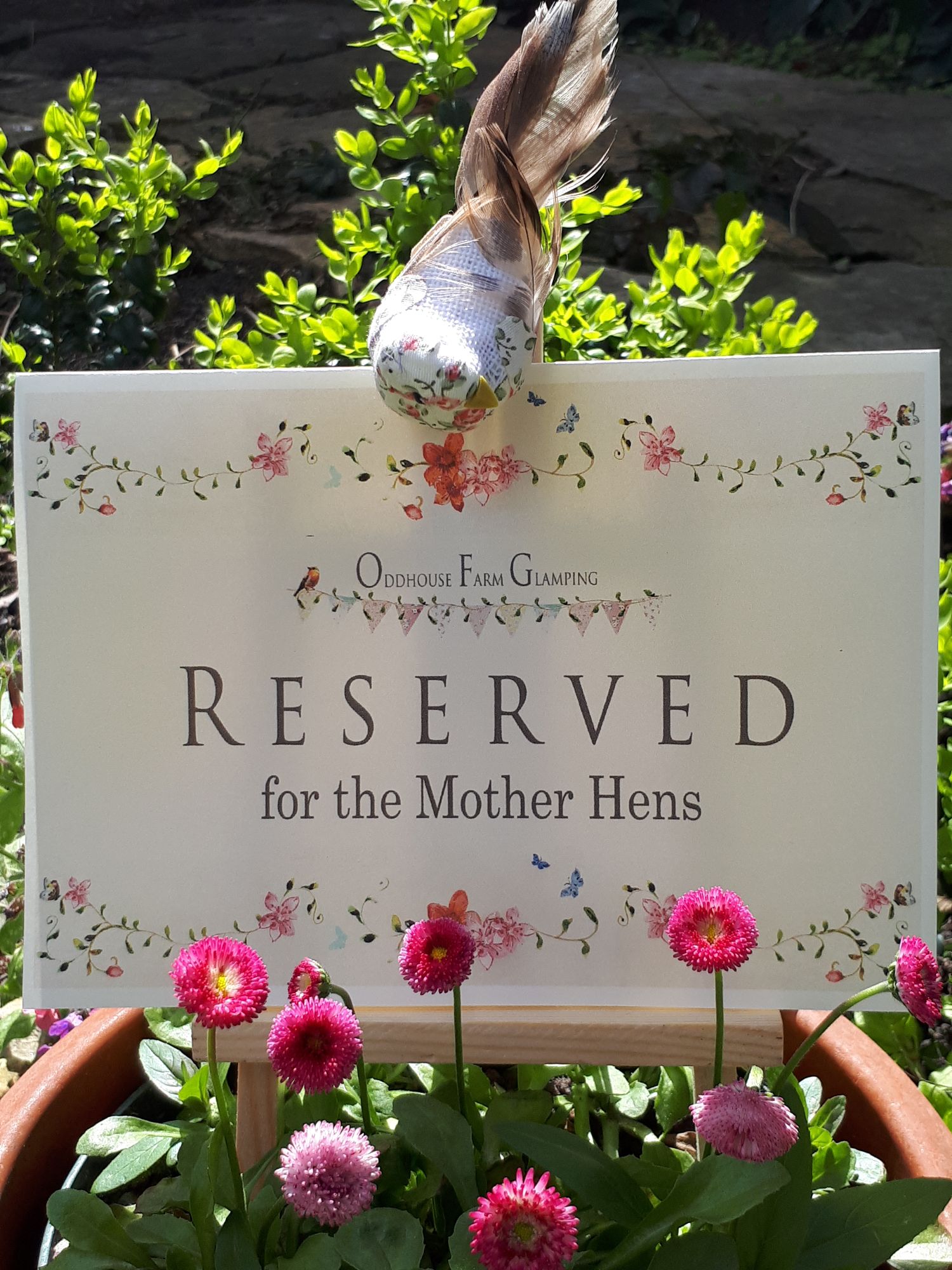 Flowers for Mother Hen at Oddhouse glamping