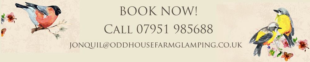 Book now at Oddhouse Farm Glamping