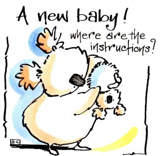 A New Baby - Where Are The Instructions