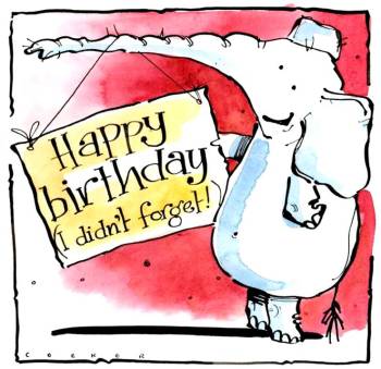 Elephant Fun: Hilarious Birthday (and or Belated) Card