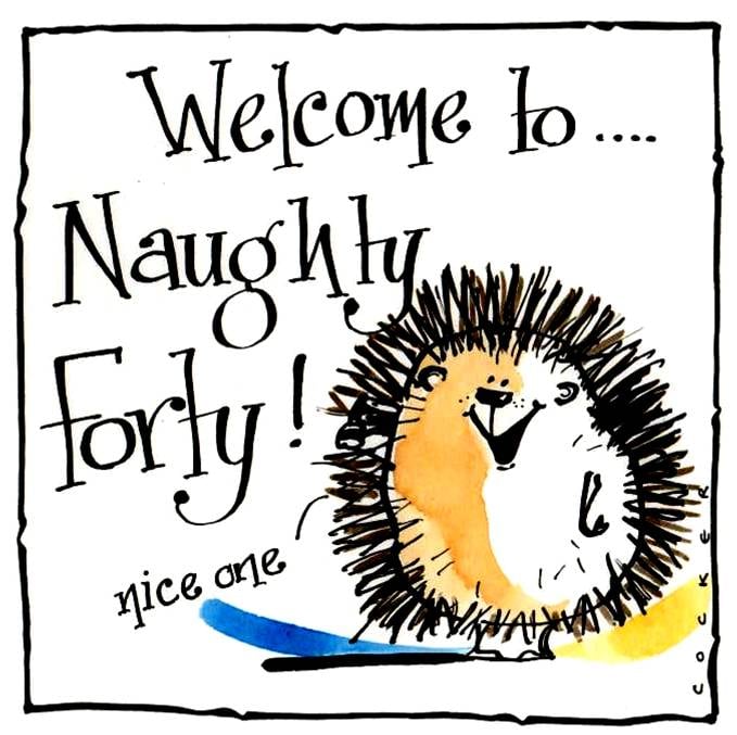 40th Birthday card with Cartoon Hedgehog and caption: Welcome To Naughty Fo