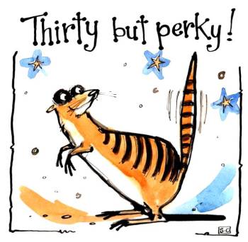 30th Birthday Meerkat Card  30 but Perky