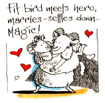 Fit Bird Meets Hero - Fabulous Wedding Card