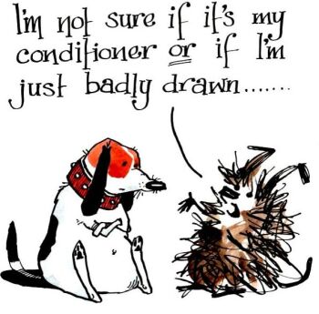 Doggy Card - Badly Drawn