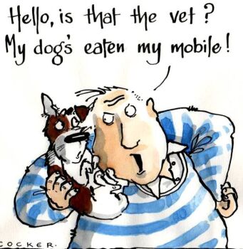 Hello Is That The Vet?
