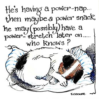 A Power Nap