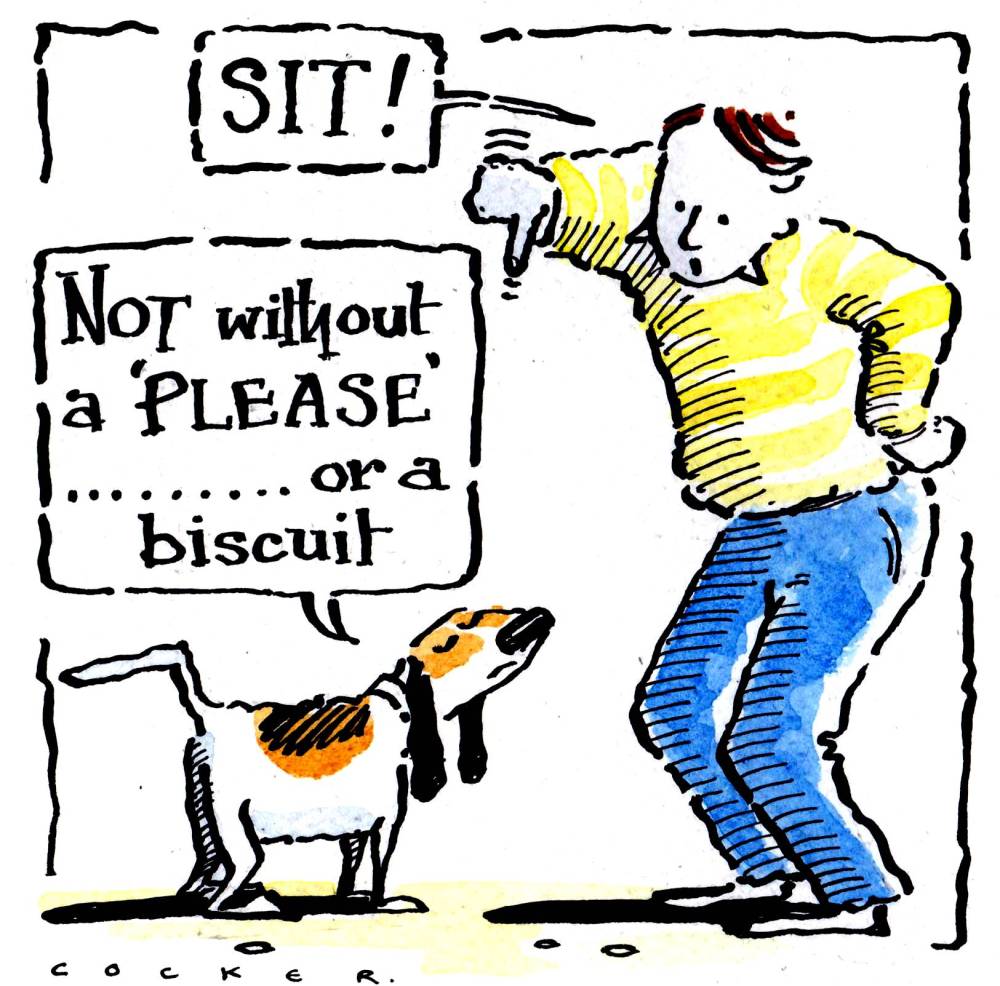 Greeting card with cartoon man & dog with caption: Sit! Not without a pleas