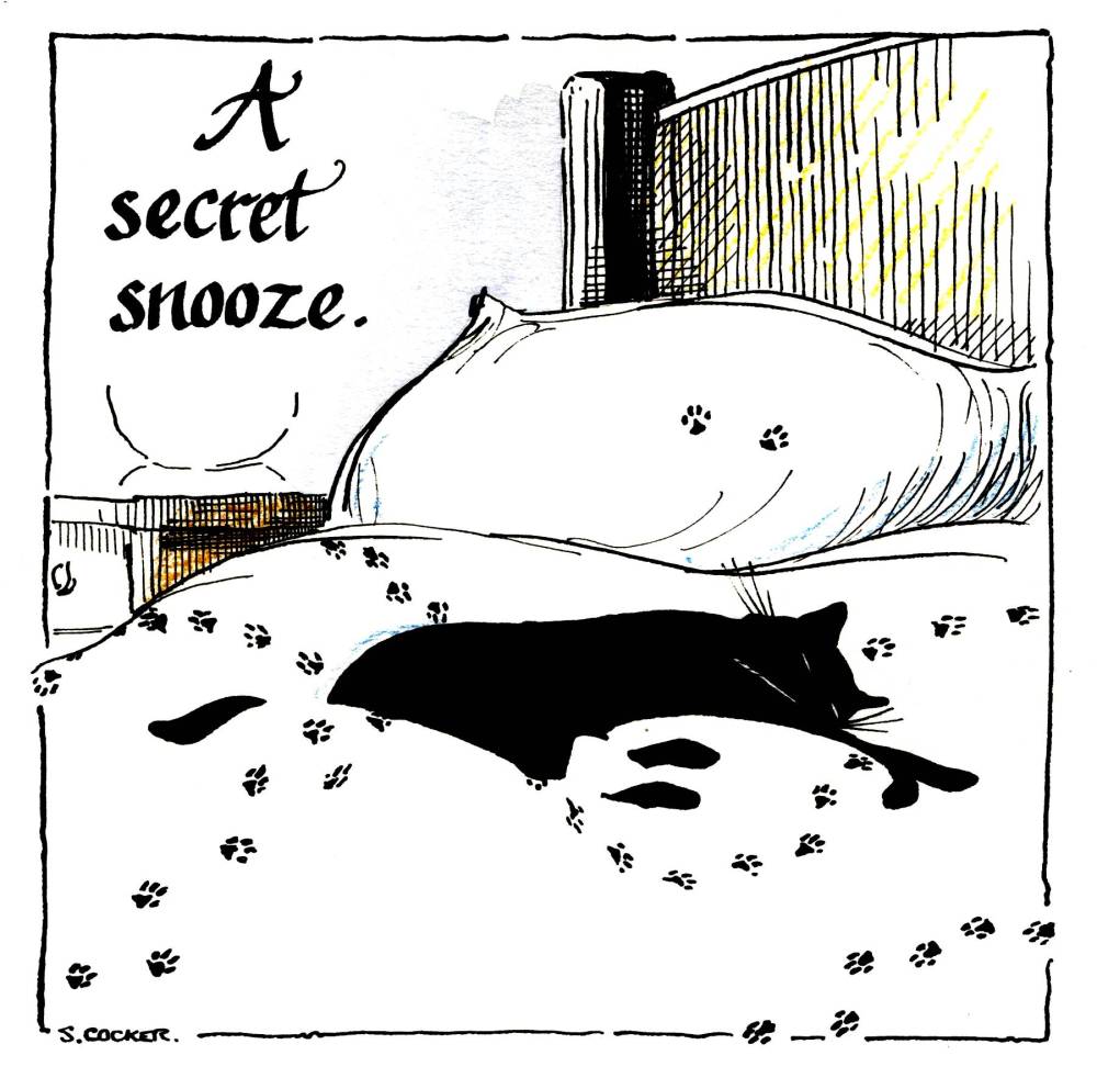 A Secret Snooze