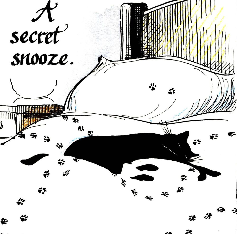 A Secret Snooze