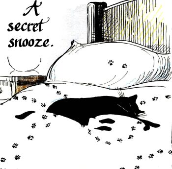 A Secret Snooze