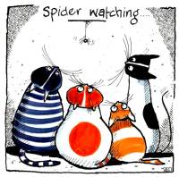      Spider Watching