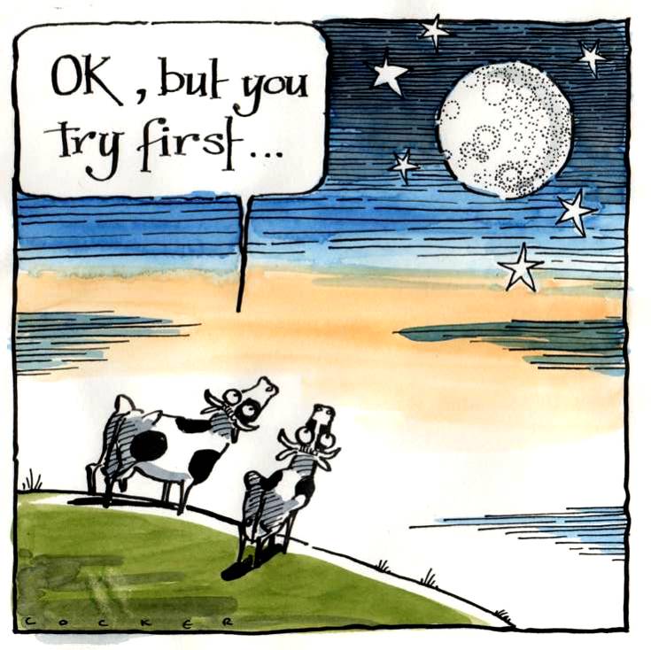 Greeting card with cartoon cows staring at the moon. Caption OK You Try Fir