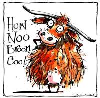 Cows - How Noo Broon Coo