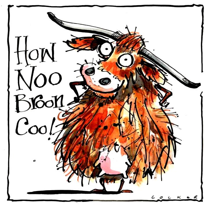 Greeting Card with cartoon Highland cow with caption How Noo Broon Coo