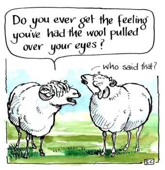 Sheep Dilemas - Pull The Wool