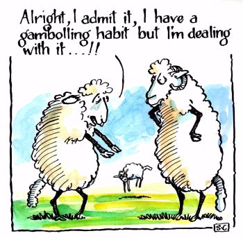 Sheep - Gambolling