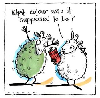 Sheep Style - What Colour?