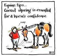 Equine Tips
