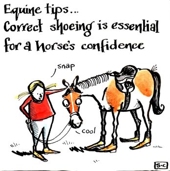 Equine Tips