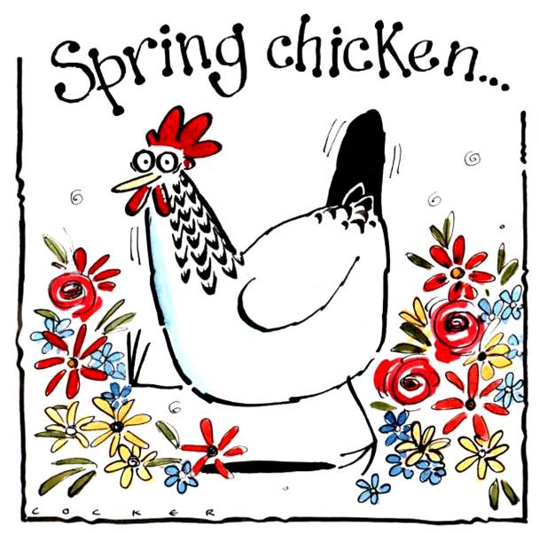 Cartoon chicken with caption: Spring Chicken