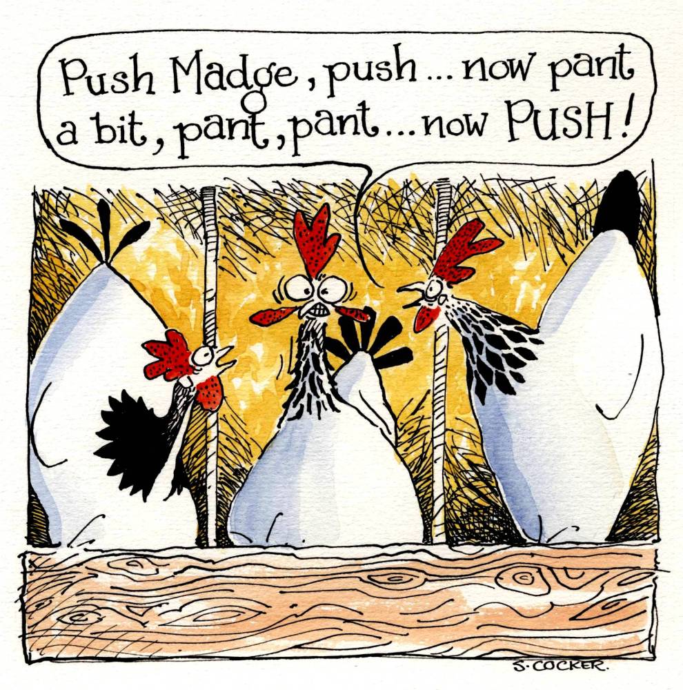 Helpful Hens - Madge