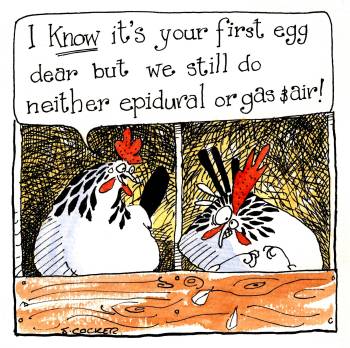 Hens - Epidural