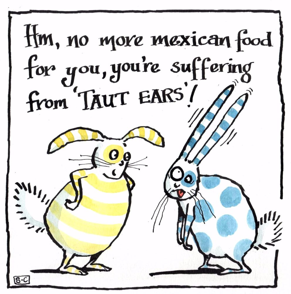 Rabbit Taut Ears