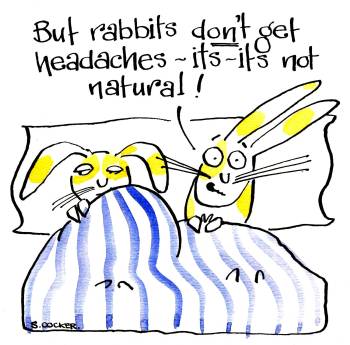 Rabbit Headaches
