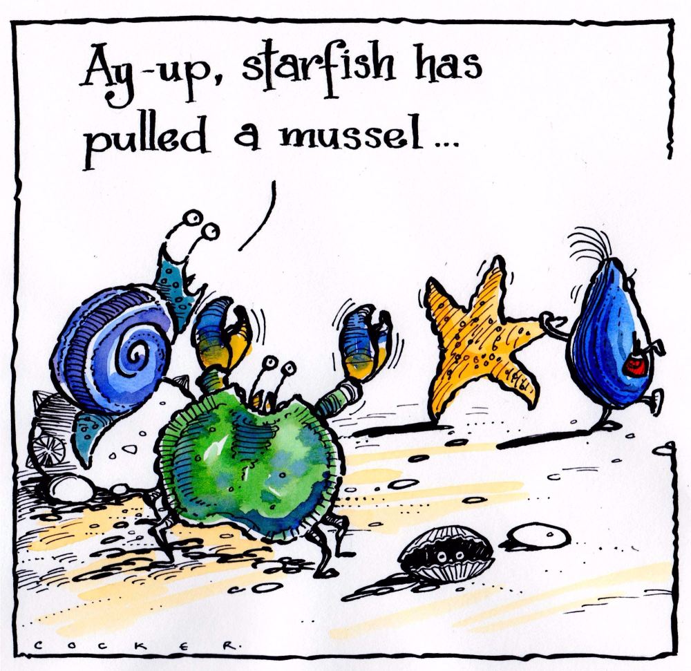 Card showing cartoon sea life with caption Starfish Pulled A Mussel