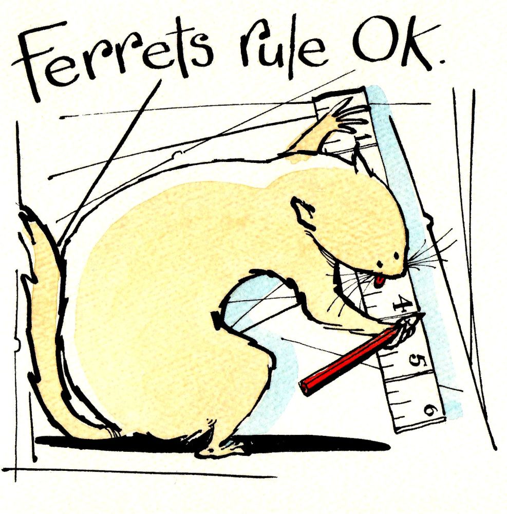 Ferrets Rule Ok