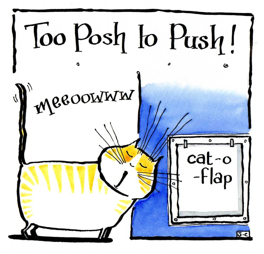 Quirky cat card for all occasions.  Cartoon cat with the caption: Too Posh 