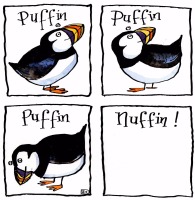 Oh Puffin Nuffin