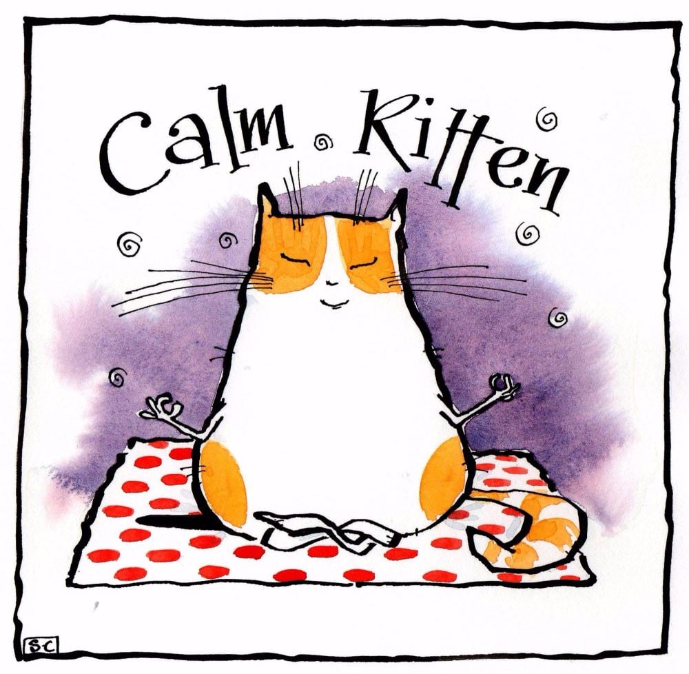 Calm Kitten