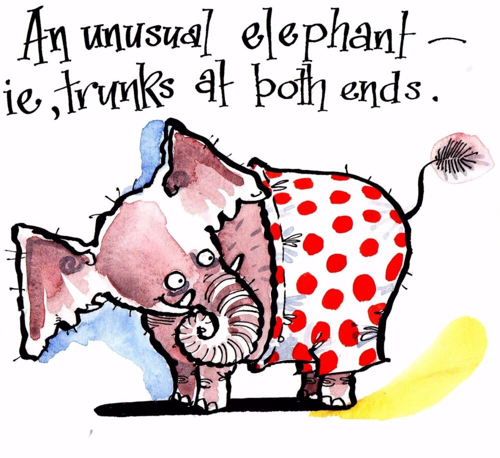 A Pair of Trunks
