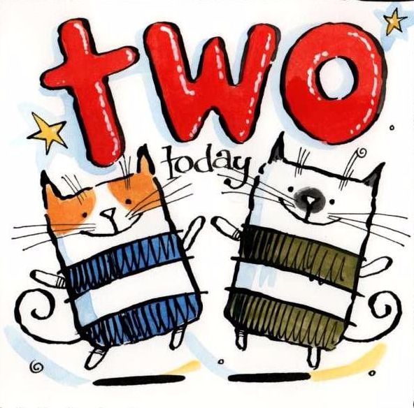 2ND Birthday Hurray Hurray You're Two Today!!