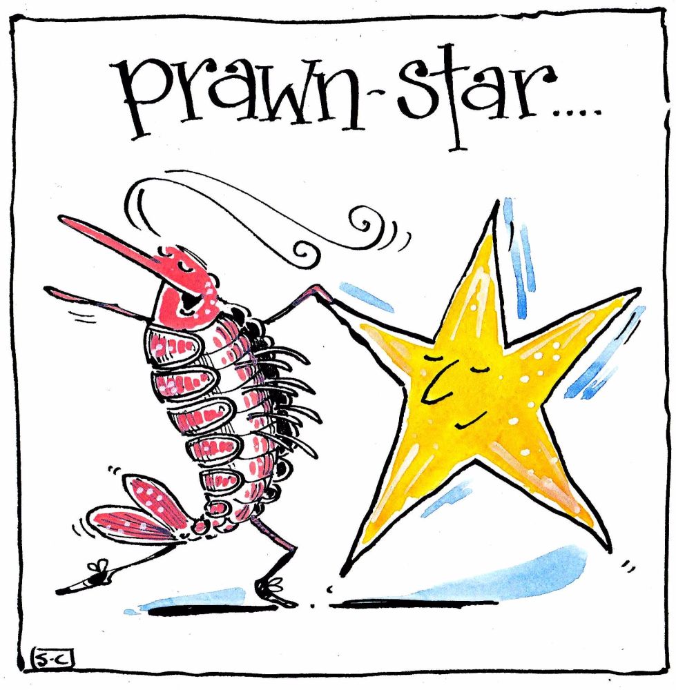 Funny card  cartoon prawn & star with caption:Prawn Star