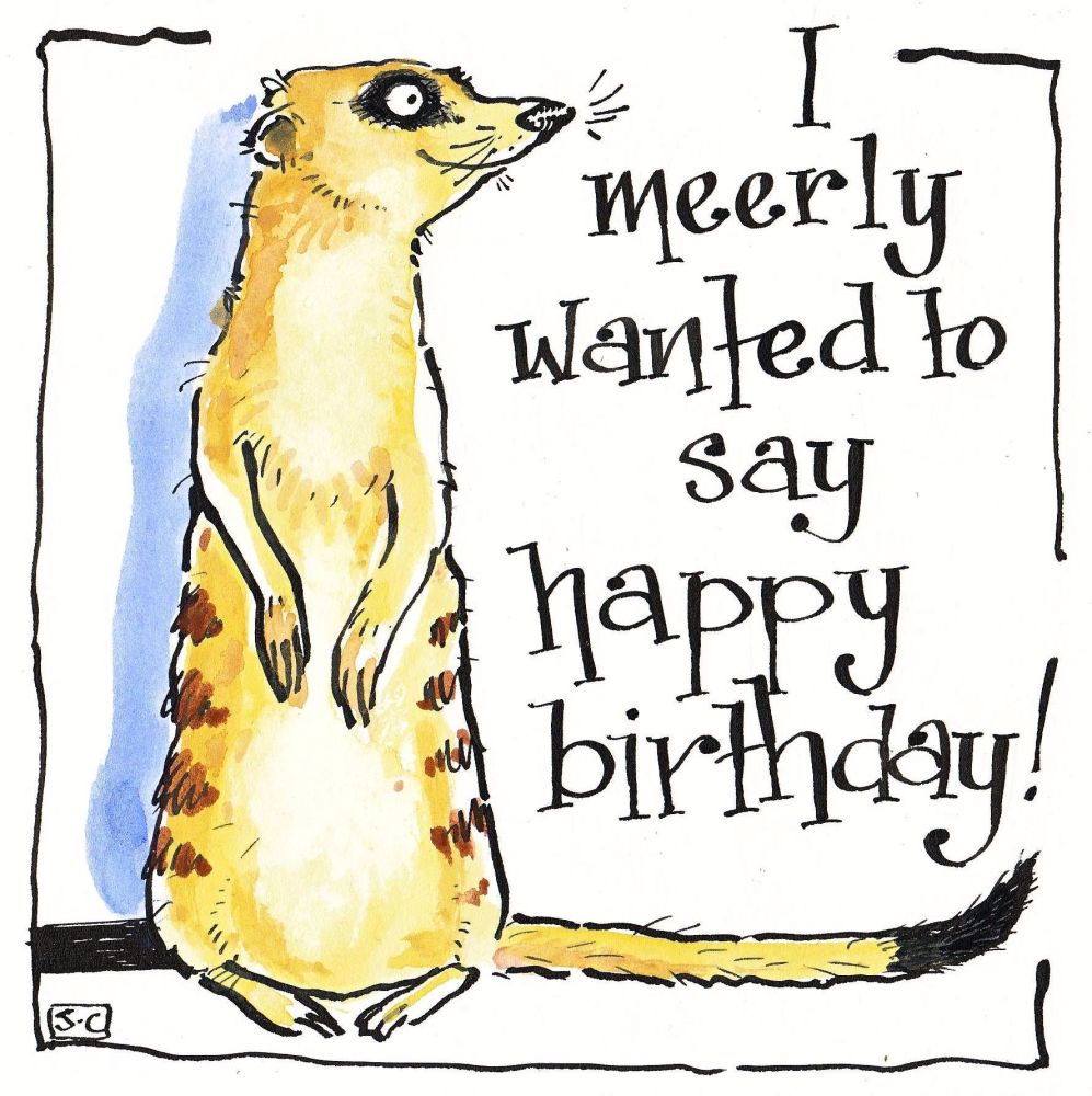  Birthday card Meerkat with caption Meerly wanted to say Happy Birthday