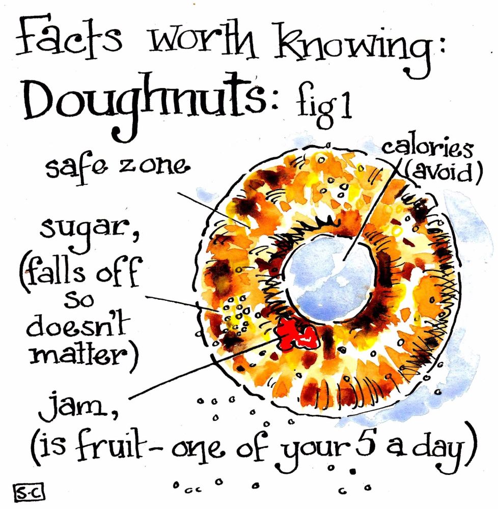 Doughnut Facts