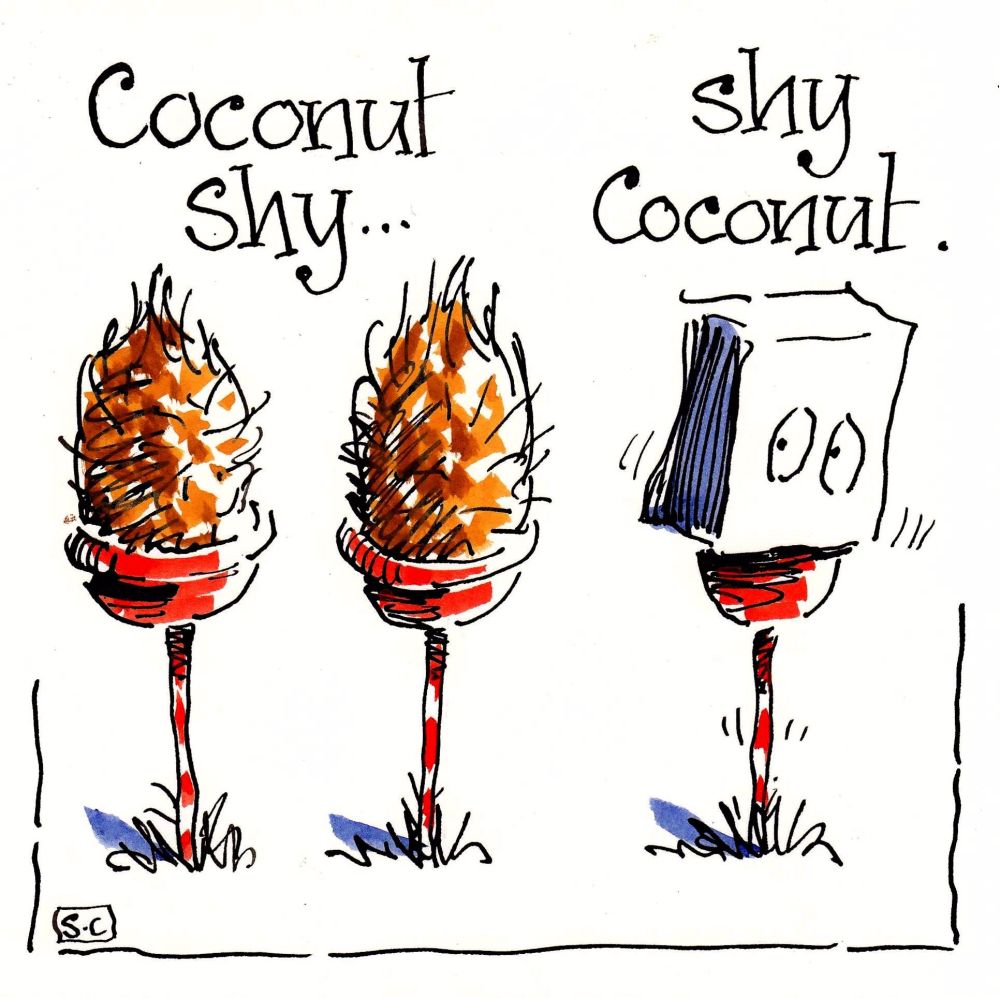 AAA Coconut Shy