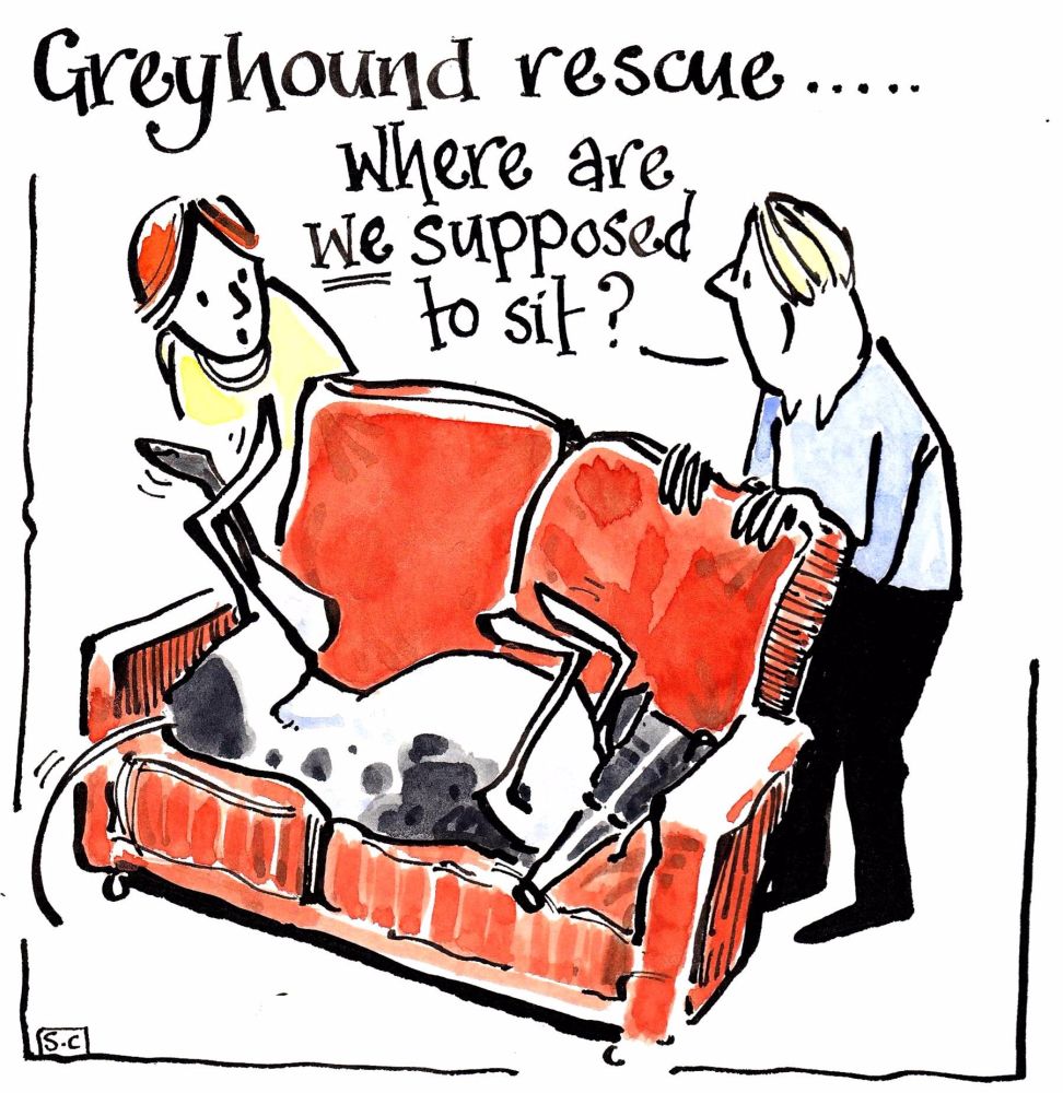 Greeting card - cartoon greyhound laid on sofa and couple looking on. Capti